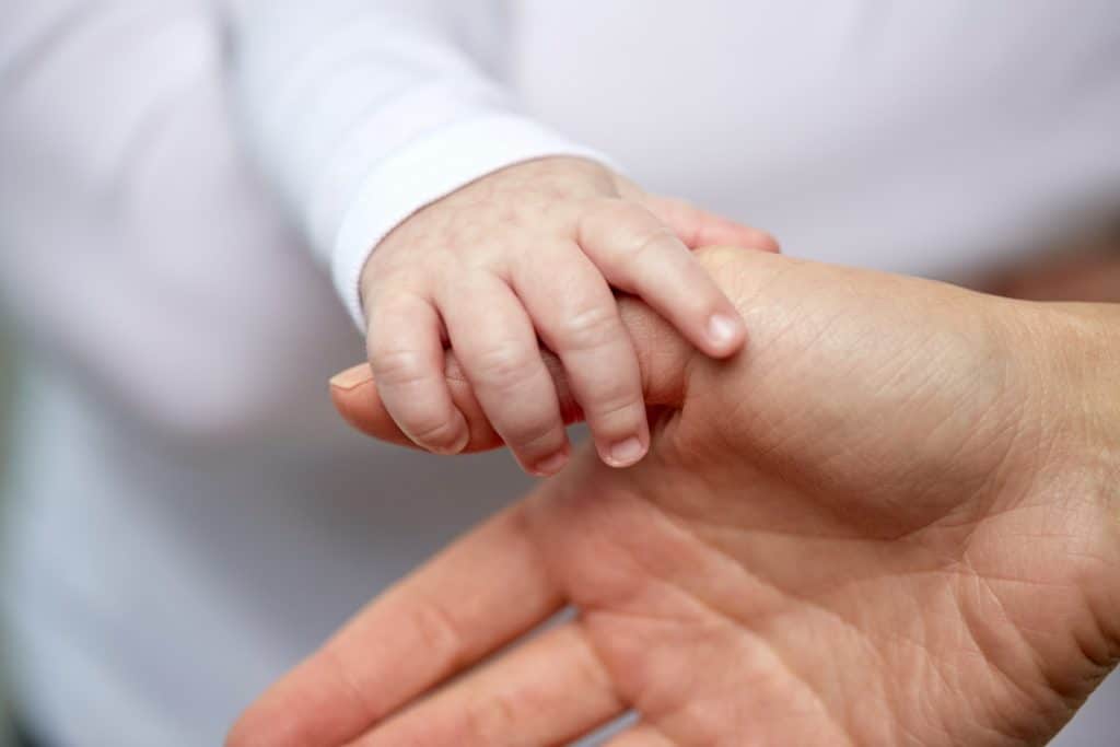 Co-parenting agreement, family law