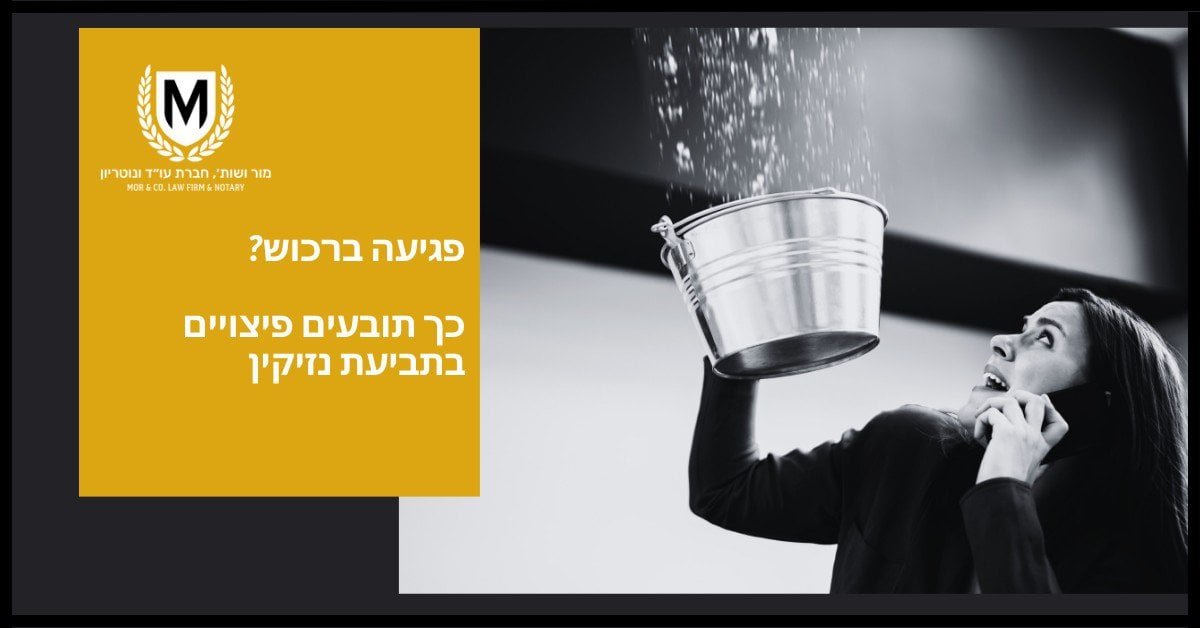אישה בחליפת עסקים עומדת בתוך הבית ומחזיקה דלי מתכת הפוך מעל ראשה. בצד שמאל קטע צהוב עם טקסט בעברית ולוגו עם "m" ועלי דפנה.