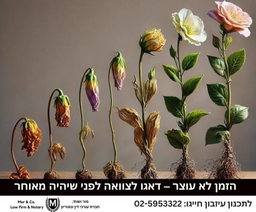 תמונה המציגה את שלבי מחזור חייו של פרח, מפרח צנוח נבול משמאל לפרח פורח תוסס מימין. טקסט בעברית בתחתית ולוגו העסק עם "מור ושות'". גם נראים.